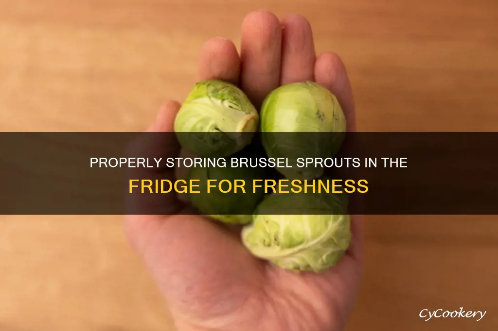 how do you store brussel sprouts in the refrigerator
