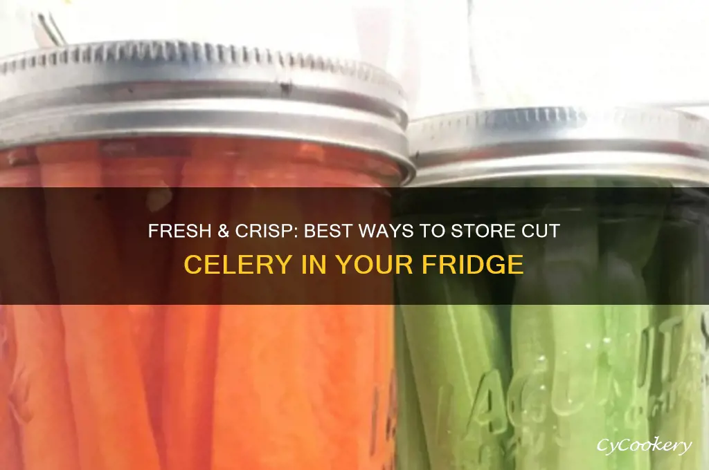 how do you store cut celery in refrigerator