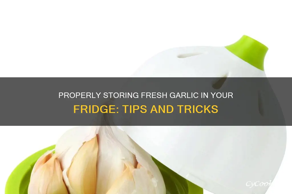 how do you store fresh garlic in the refrigerator