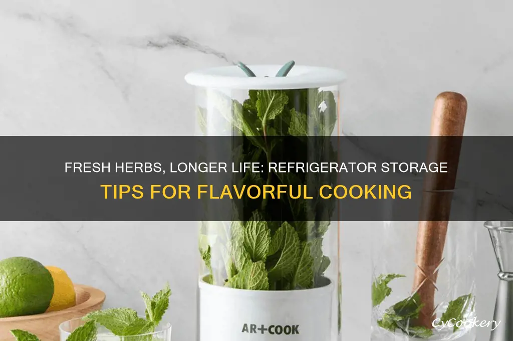 how do you store fresh herbs in the refrigerator