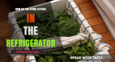 Keep Lettuce Fresh Longer: Best Refrigerator Storage Tips