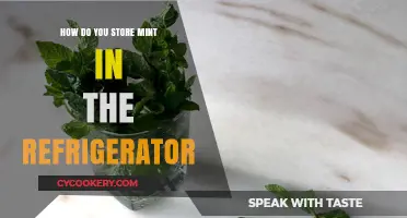Fresh Mint Storage Tips: How to Keep Mint in the Fridge