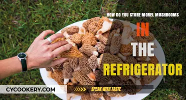 Properly Storing Morel Mushrooms in Your Refrigerator: A Complete Guide