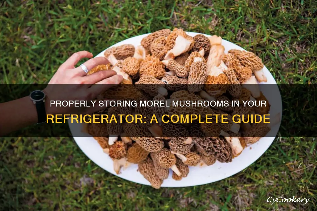how do you store morel mushrooms in the refrigerator