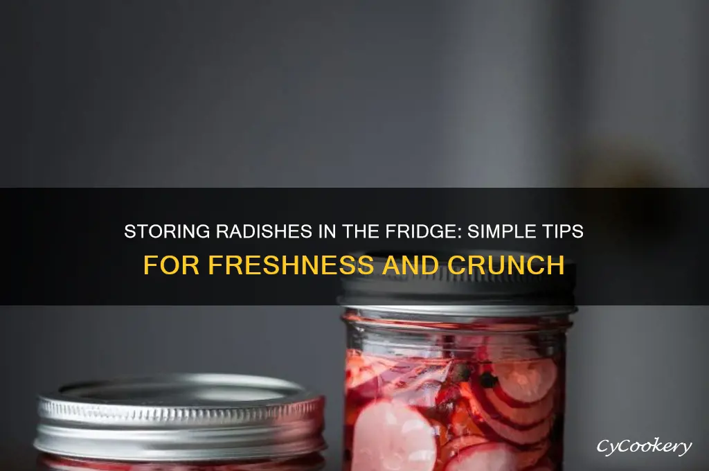 how do you store radishes in the refrigerator
