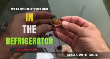 Stratifying Peach Seeds: A Simple Refrigerator Method for Success