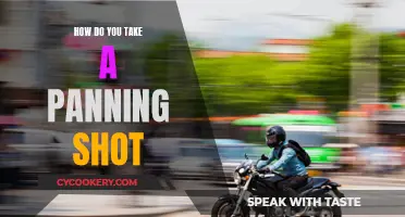 Mastering Panning Shots: Techniques for Beginners