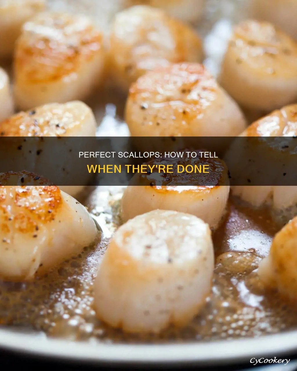 how do you tell if pan seared scallops are done