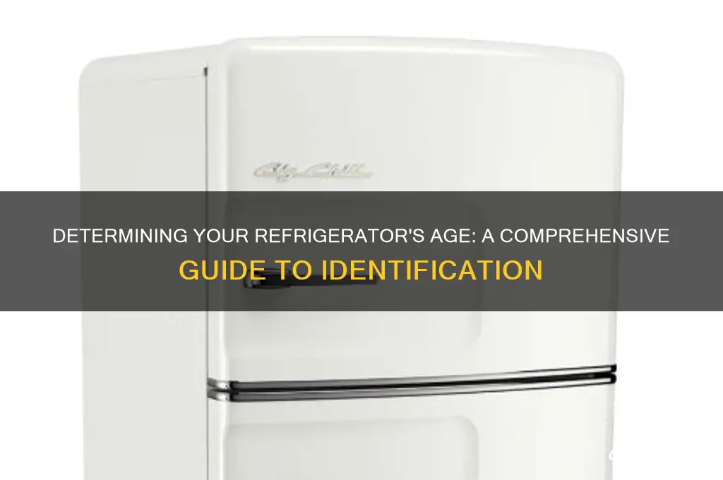 how do you tell the age of a refrigerator