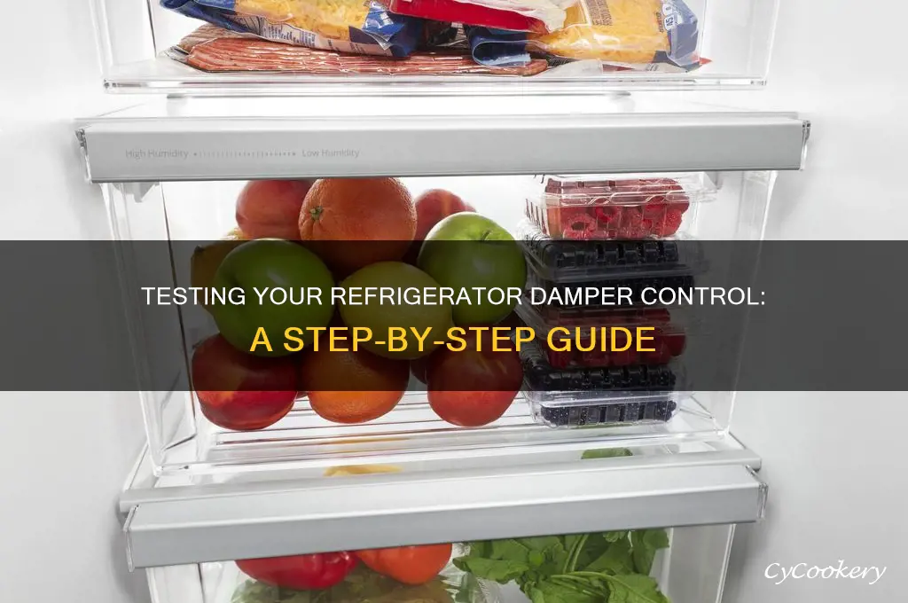 how do you test a refrigerator damper control
