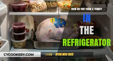 Safely Thawing Your Turkey: A Refrigerator Guide for Perfect Results