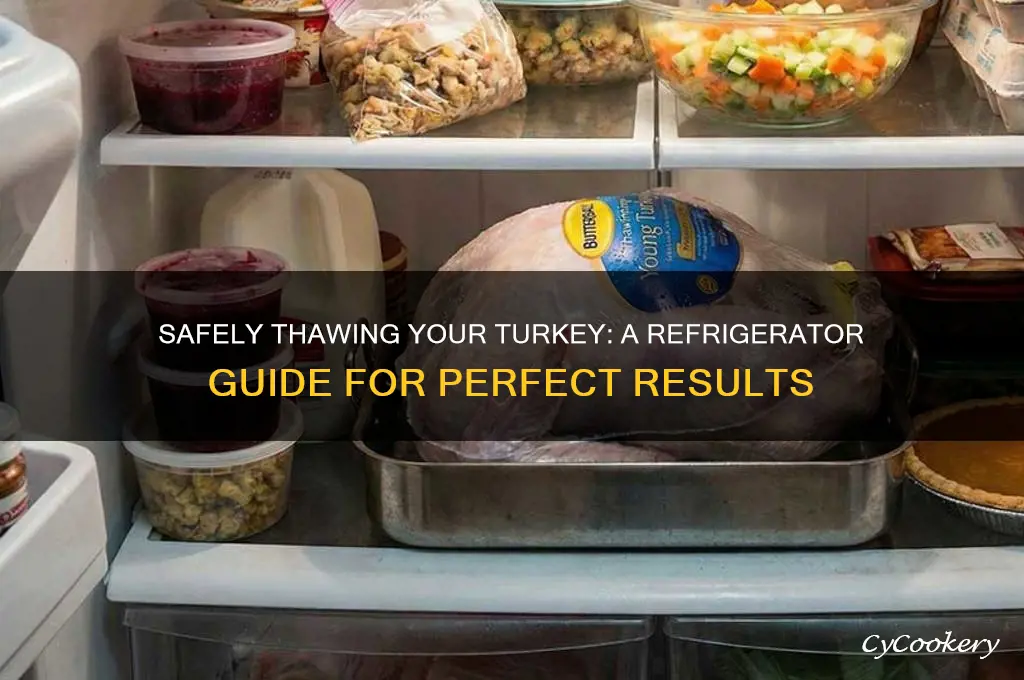 how do you thaw a turkey in the refrigerator