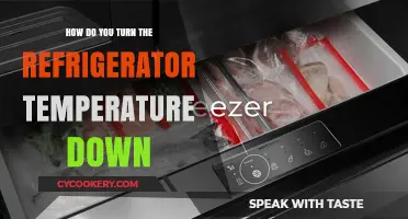 Easy Steps to Lower Your Refrigerator Temperature Quickly and Safely