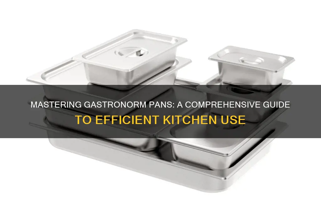 how do you use a gastronorm pan