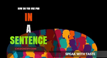 Mastering the Verb Pan: Creative Ways to Use It in Sentences