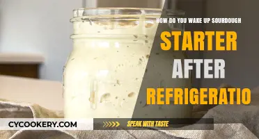 Reviving Your Chilled Sourdough Starter: A Simple Wake-Up Guide