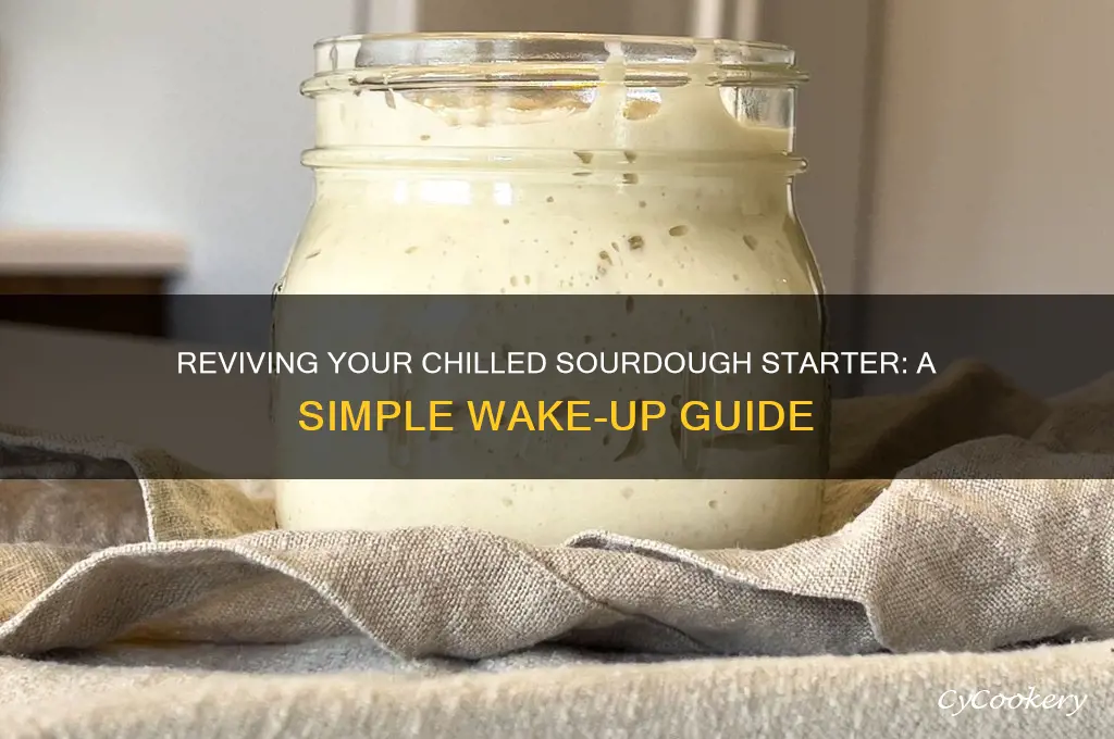 how do you wake up sourdough starter after refrigeration