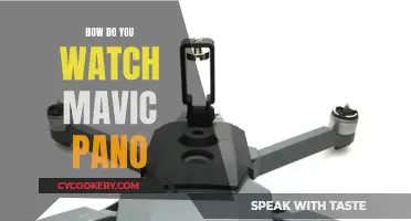 Exploring the Mavic Pano: A Beginner's Guide