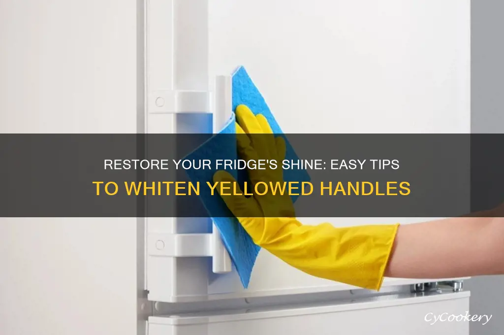 how do you whiten yellowed refrigerator handles