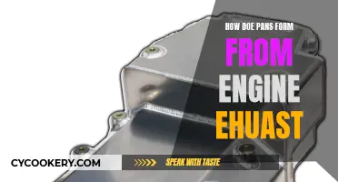 Understanding the Formation of Pans from Engine Exhaust