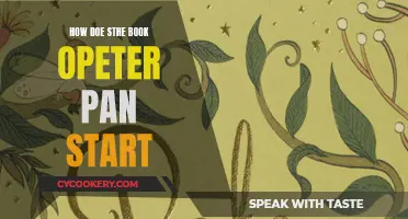 The Magical Opening of Peter Pan