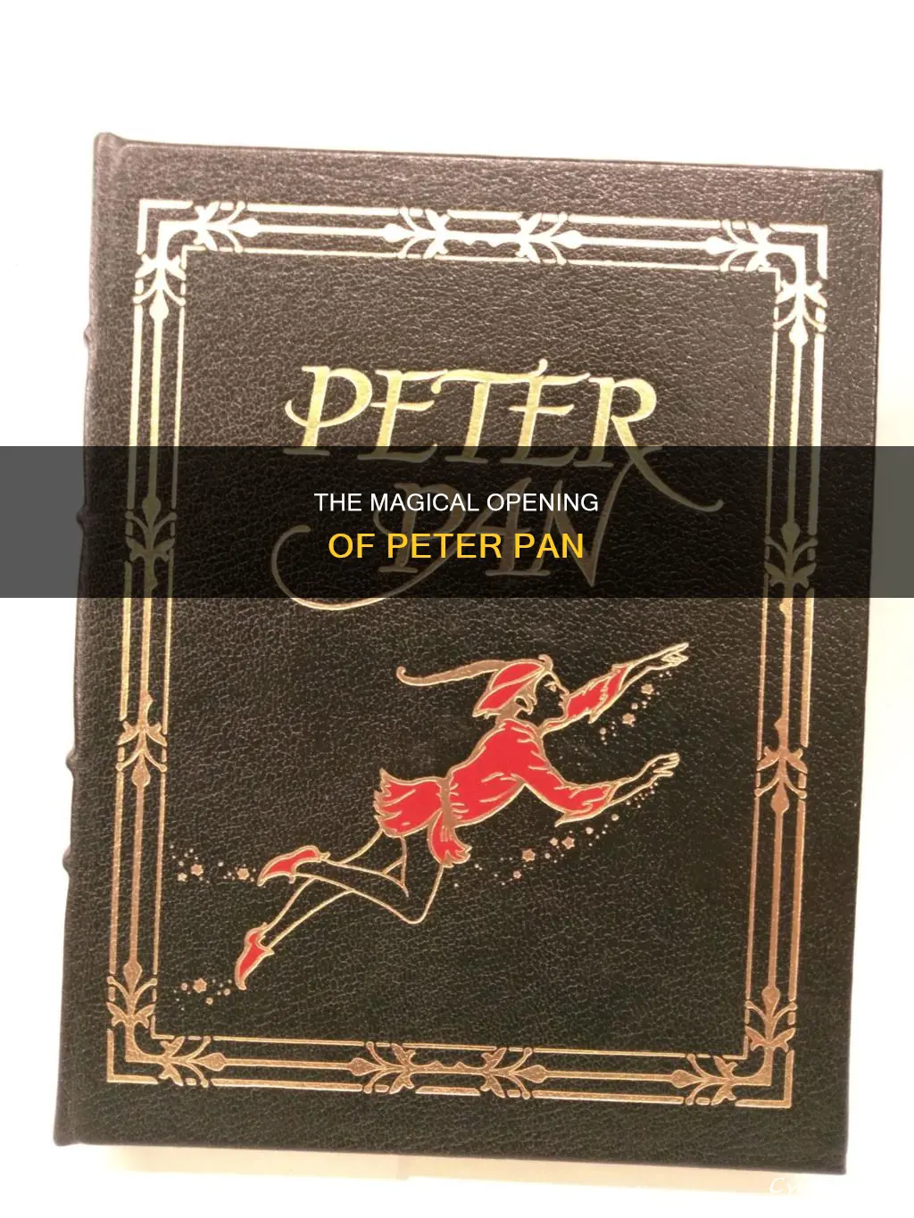 how doe sthe book opeter pan start