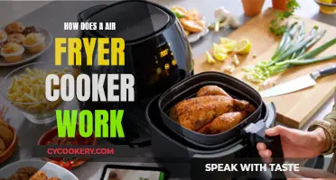 Unveiling the Magic: How Air Fryers Cook with Little Oil