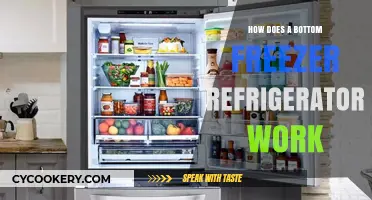 Understanding Bottom Freezer Refrigerators: Functionality and Benefits Explained