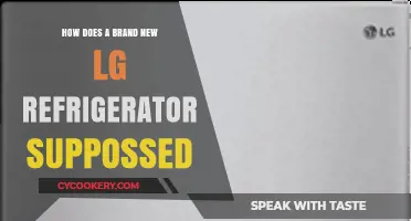 How a Brand New LG Refrigerator Should Perform: A Guide