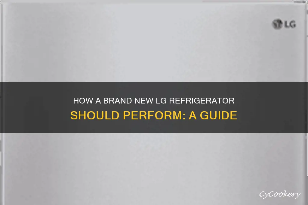 how does a brand new lg refrigerator suppossed