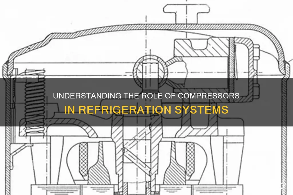 how does a compressor work in a refrigeration system