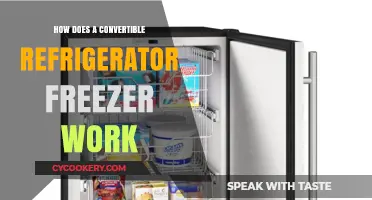 How Convertible Refrigerator Freezers Adapt Space for Flexible Food Storage