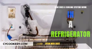 Understanding the Refrigerator Cooling System: A Comprehensive Guide