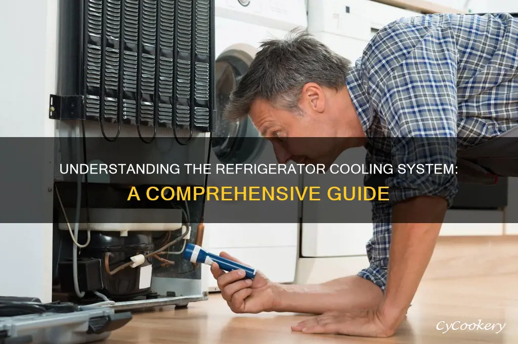 how does a cooling system work in a refrigerator