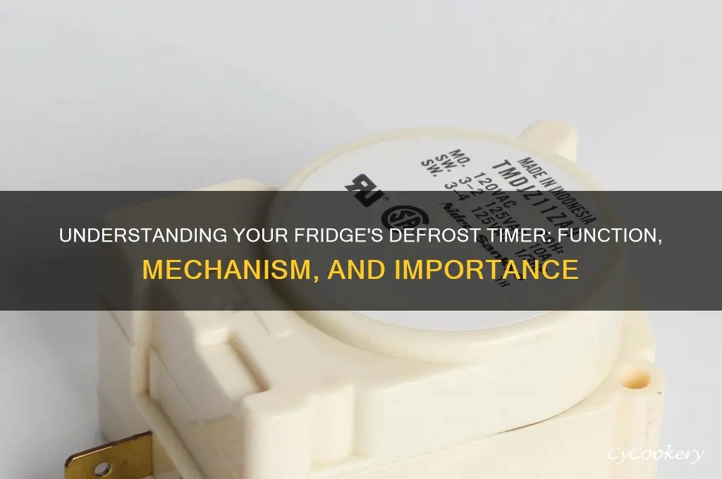 how does a defrost timer work on a refrigerator