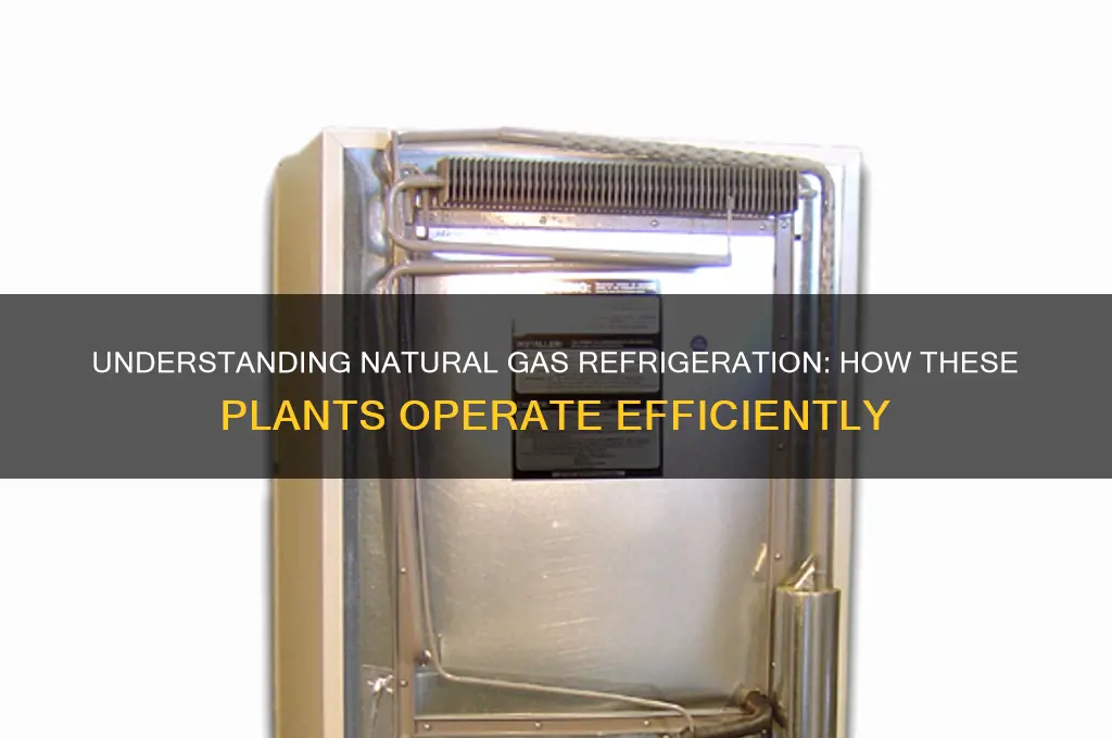 how does a natural gas refrigeration plant work