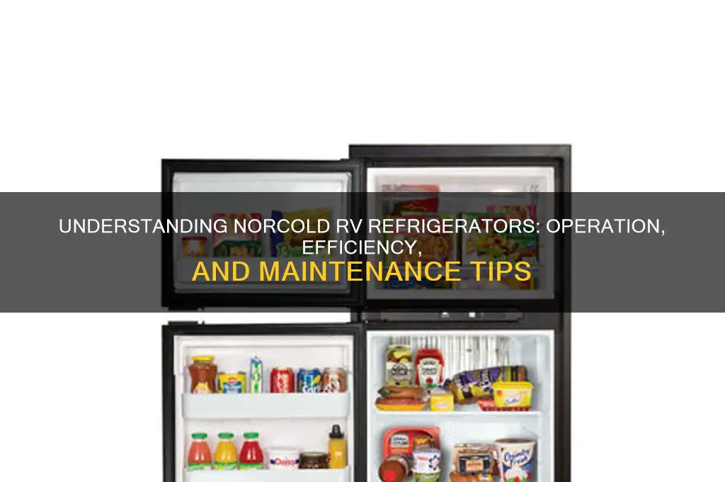 how does a norcold rv refrigerator work