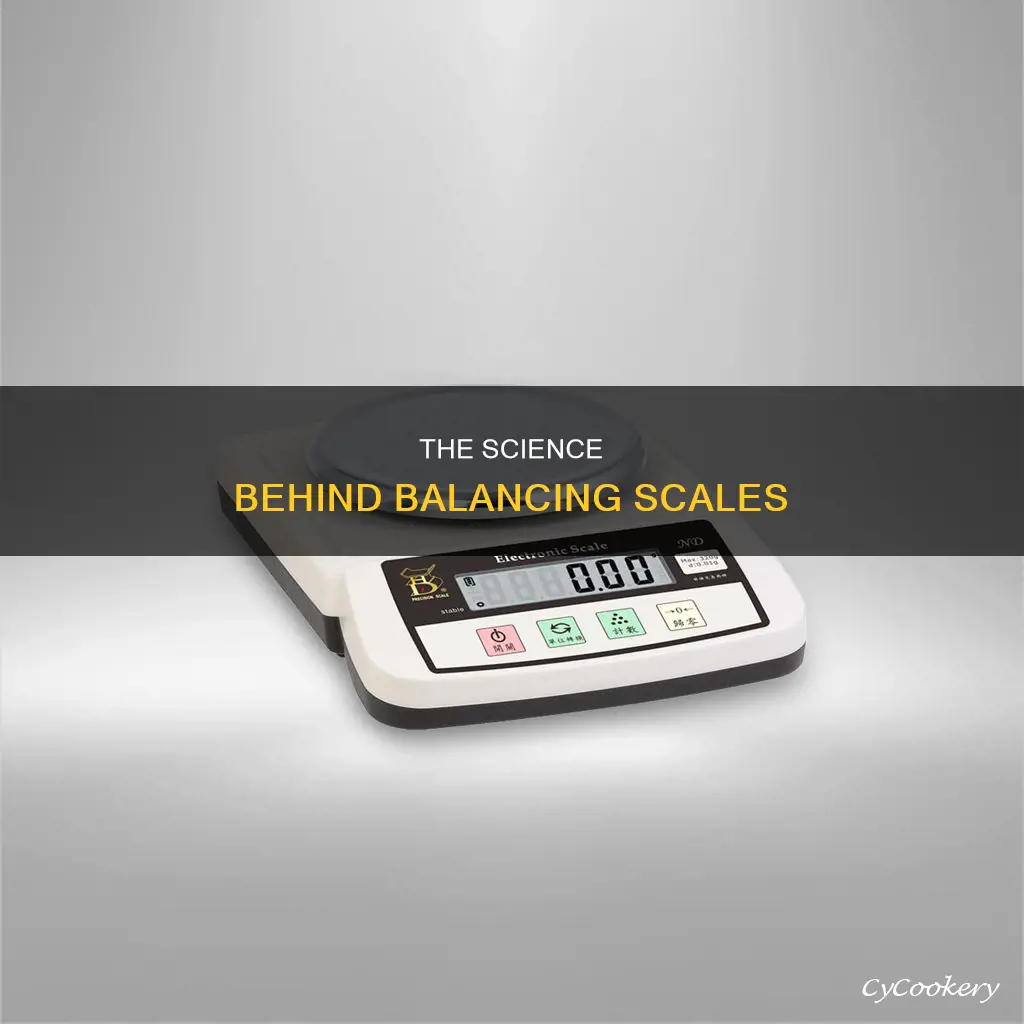 how does a pan balance scale work