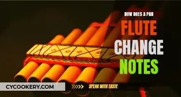 The Magic of Pan Flute: Changing Notes
