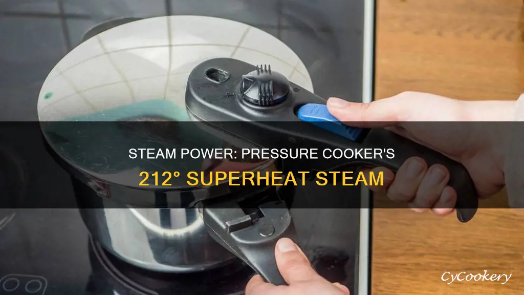 how does a pressure cooker work steam 212