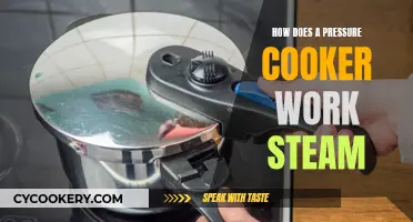 Steam Power: Pressure Cooker's Magic