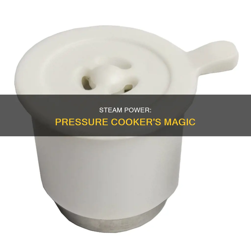 how does a pressure cooker work steam