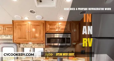 How Propane Refrigerators Keep RV Food Fresh Off-Grid