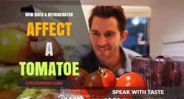 How Refrigeration Impacts Tomato Flavor, Texture, and Shelf Life
