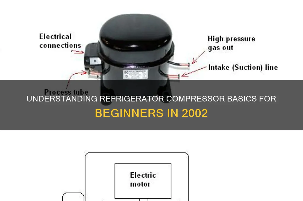 how does a refrigerator compressor work for beginners in2002