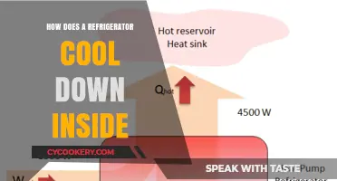 How Refrigerators Work: The Science Behind Cooling Your Food