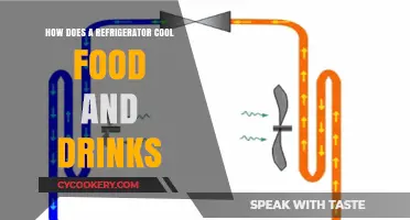 How Refrigerators Work: The Science Behind Cooling Food and Drinks