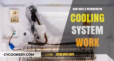 Understanding the Mechanics of a Refrigerator's Cooling System