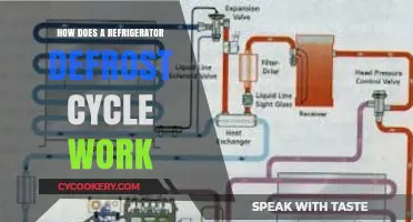 Understanding Your Fridge's Defrost Cycle: How It Works and Why