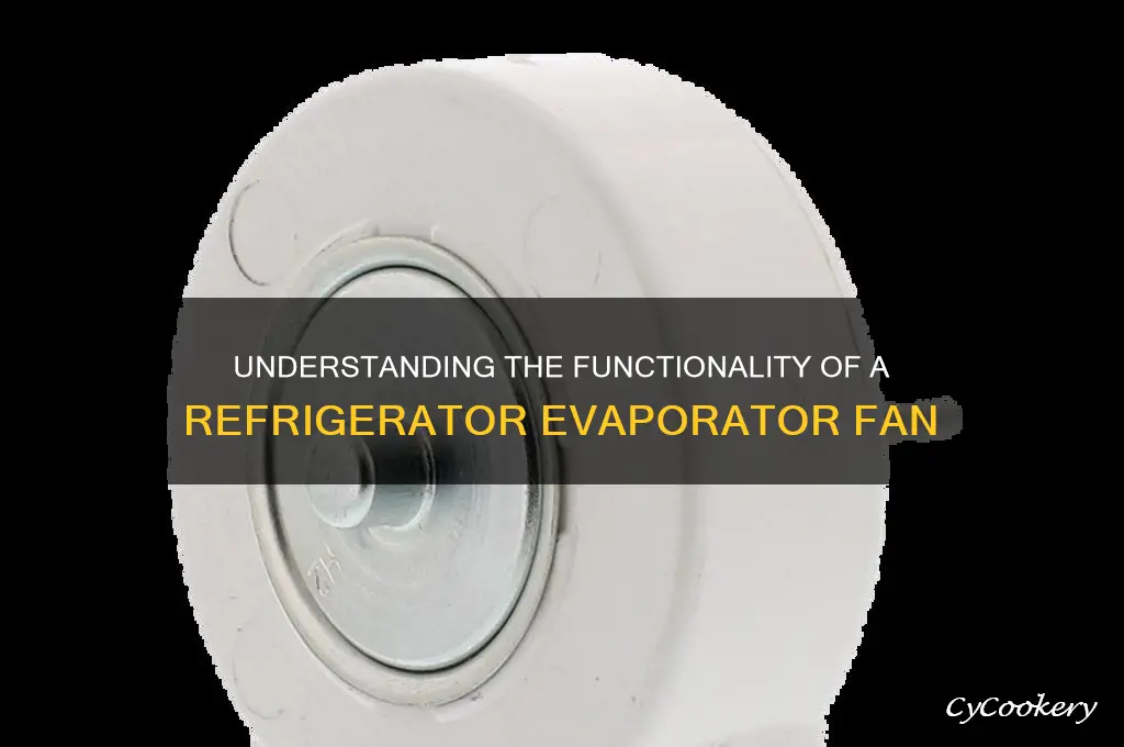 how does a refrigerator evaporator fan work